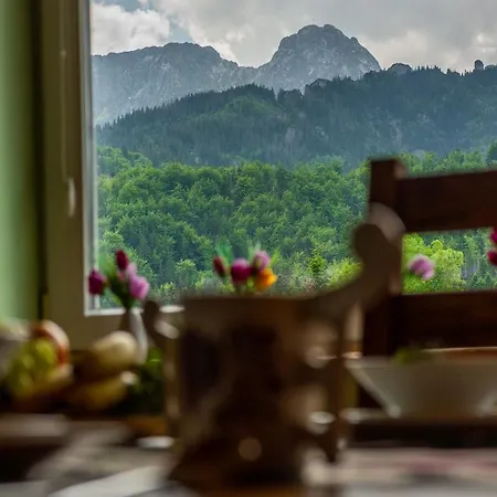 100 M2 - Nabucco With 270 Degree Mountain View, 65 Oled Tv, Netflix, Ps5 Console Apartment Zakopane