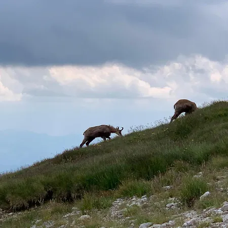 100 M2 - Nabucco With 270 Degree Mountain View, 65 Oled Tv, Netflix, Ps5 Console *