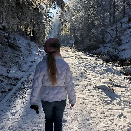 100 M2 - Nabucco With 270 Degree Mountain View, 65 Oled Tv, Netflix, Ps5 Console Zakopane