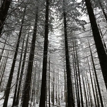 100 M2 - Nabucco With 270 Degree Mountain View, 65 Oled Tv, Netflix, Ps5 Console *