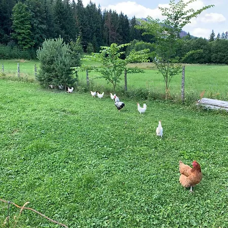 Apartament 100 M2 - Nabucco With 270 Degree Mountain View, 65 Oled Tv, Netflix, Ps5 Console Zakopane