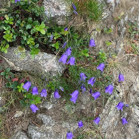 Apartman 100 M2 - Nabucco With 270 Degree Mountain View, 65 Oled Tv, Netflix, Ps5 Console Zakopane