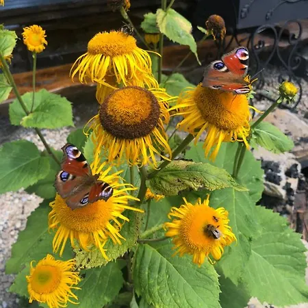 Apartmán 100 M2 - Nabucco With 270 Degree Mountain View, 65 Oled Tv, Netflix, Ps5 Console Zakopane