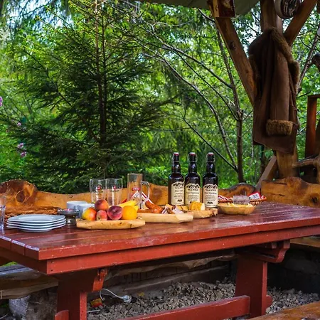 100 M2 - Nabucco With 270 Degree Mountain View, 65 Oled Tv, Netflix, Ps5 Console * Zakopane