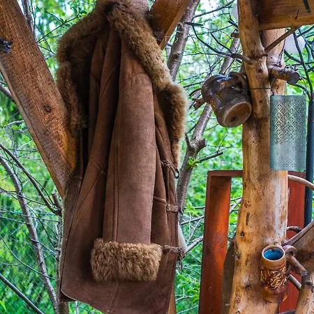 100 M2 - Nabucco With 270 Degree Mountain View, 65 Oled Tv, Netflix, Ps5 Console Zakopane